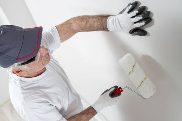 Trusted Utica, SC Mold Removal Experts