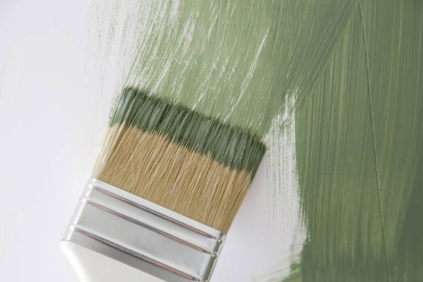  Utica, SC Mold Removal Pros