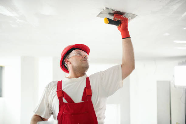 Best Asbestos and Lead Testing During Mold Inspection  in Utica, SC