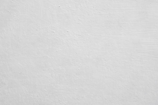 Mold Remediation for Rental Properties in Utica, SC