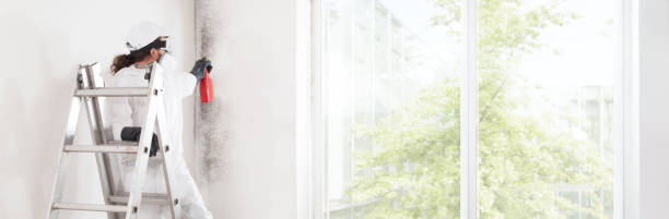 Best Industrial Mold Remediation  in Utica, SC